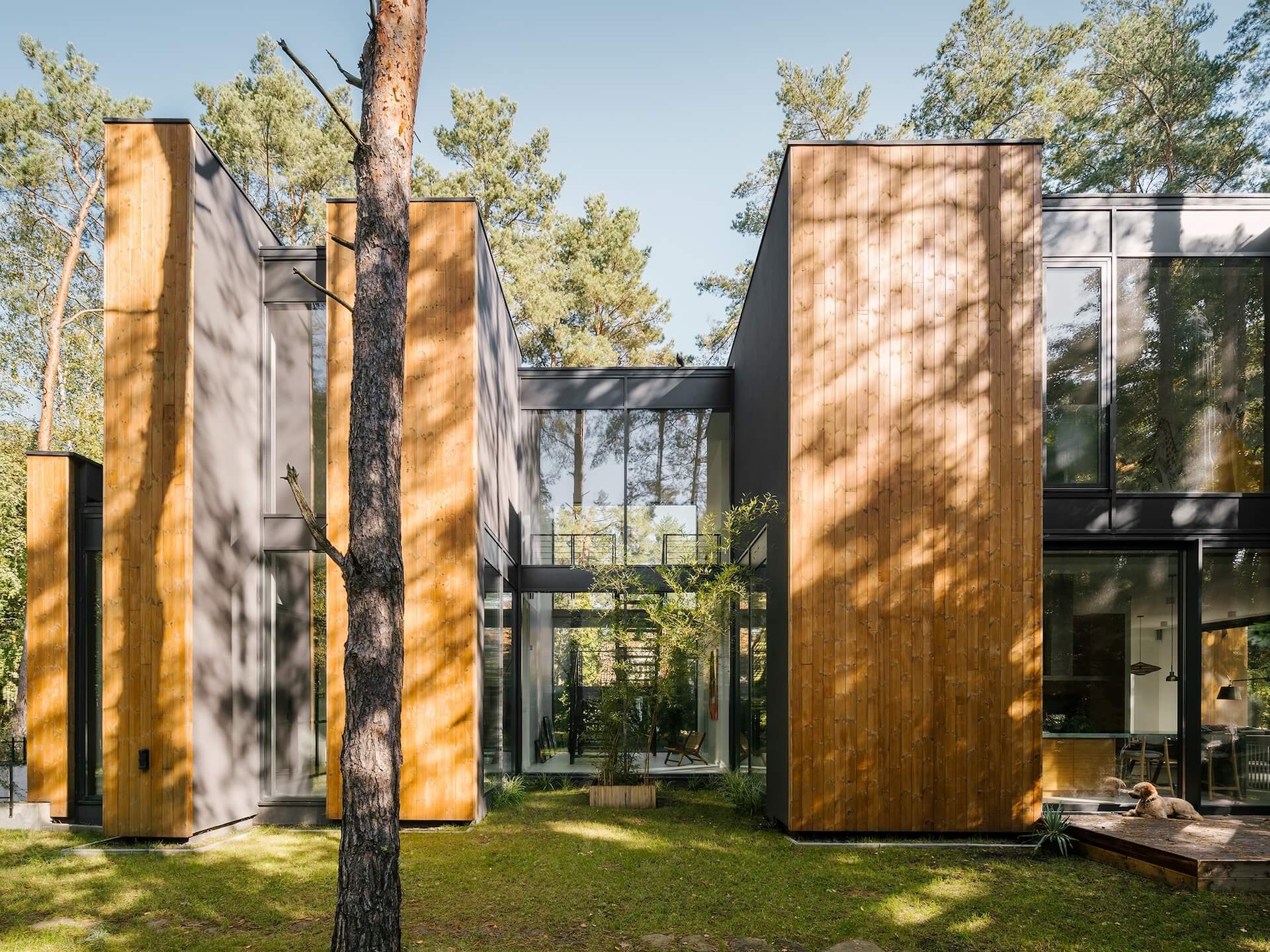 House like a forest, Gold in Architecture Categories House IDA 2021